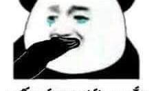 女友发表情吃瓜,揭秘娱乐圈最新热点