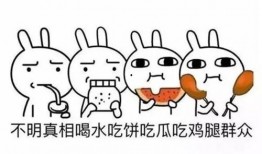 吃瓜群众英语含义,揭秘“Eating the Watermelon”背后的吃瓜群众文化现象