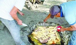 墨西哥父子案吃瓜,真相与伦理的较量