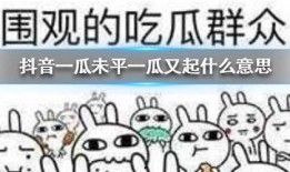 抖音半夜吃瓜,揭秘娱乐圈幕后真相