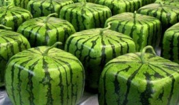 全网最全吃瓜大合集,揭秘娱乐圈幕后风云，带你领略明星们的真实生活