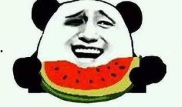 娱乐吃瓜手