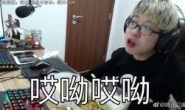 吃瓜嗨氏表情包,网络狂欢背后的娱乐现象解析