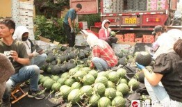 吃瓜前线全部,揭秘娱乐圈最新热点事件