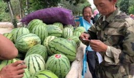 金昌老头吃瓜视频,揭秘民间趣味生活瞬间