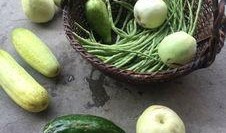 安静吃瓜图,品味生活瞬间