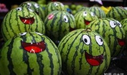 宽瓜怎样吃,探索美味新境界