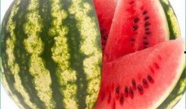 天天吃西瓜哈密瓜,天天西瓜哈密瓜，尽享清凉美味时光