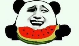 最惨的吃瓜番视频,揭秘最惨番视频幕后真相