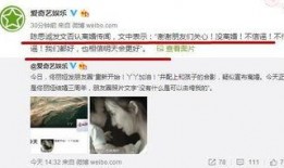 吃瓜群众对话视频,一场关于瓜田的趣味对话盛宴