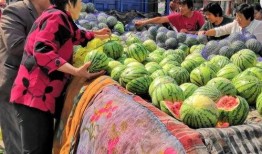 自由吃瓜地基,揭秘网络时代下的娱乐狂欢与社交新趋势