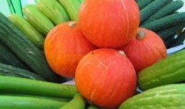 瓜菜代吃四两,战时生活下的饮食智慧