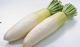 吃萝卜的瓜,一场味蕾的盛宴