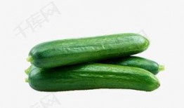 亲近自然吃瓜视频下载,跟随吃瓜视频探索田园生活