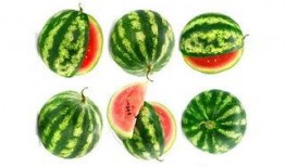 尖叫吃瓜无限金币,畅享无限金币的奇幻之旅