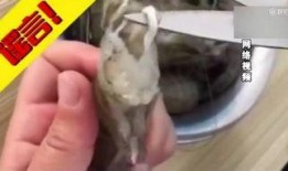 寄生虫吃瓜,瓜果的隐秘威胁