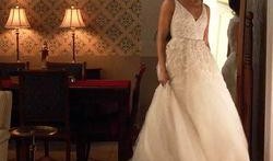 婚纱吃瓜后续,吃瓜群众热议，真相大白