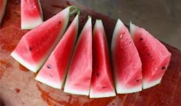 店家吃瓜,一场舌尖上的狂欢