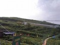 濮阳林海公园吃瓜事件