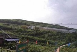 濮阳林海公园吃瓜事件