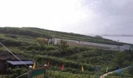 濮阳林海公园吃瓜事件