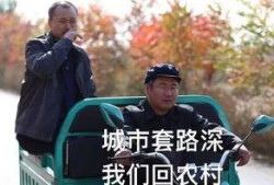 吃瓜老赖,网络热议背后的法律与道德探讨