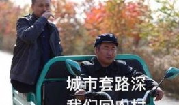 吃瓜老赖,网络热议背后的法律与道德探讨