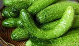 田里田边吃瓜,夏日田园生活画卷