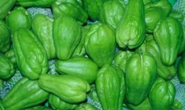 智慧吃瓜视频素材,揭秘短视频背后的趣味与智慧