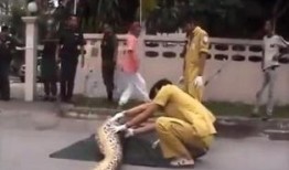 吃瓜活人解剖