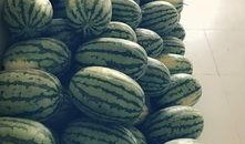 大工吃瓜,吃瓜群众眼中的校园生活